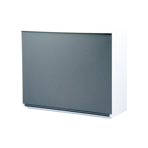 Schlichter wandmontierter Schuhschrank 16x51,5x39cm Grau