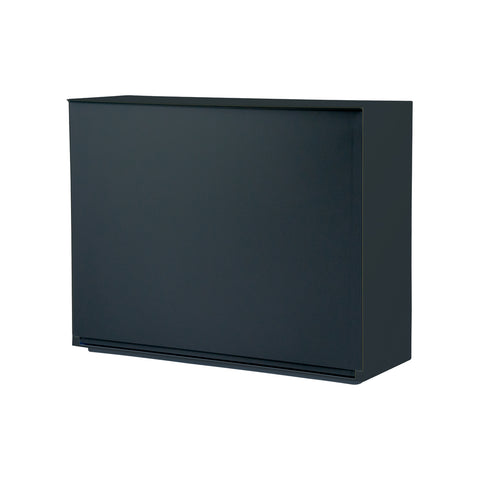 Glatter Wand-Schuhschrank 16x51,5x39cm Schwarz