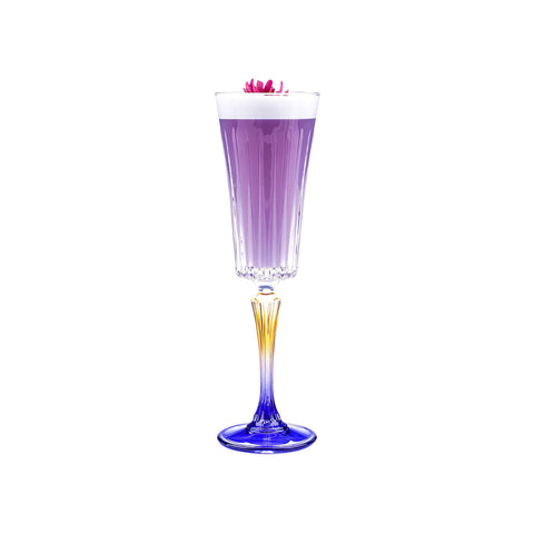 6 transparente Gipsy-Sektgläser