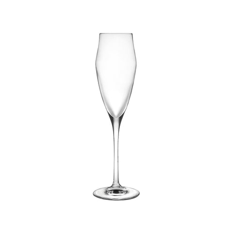 6er-Set Champagnergläser Ego 18cl