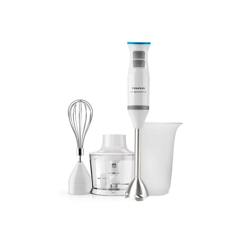 Stabmixer-Set mit Zubehör 1000w