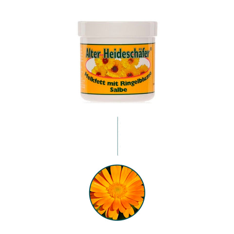 Bild-4-Kräuterhof-Hautcreme-mit-Ringelblume-250ml-EAN-4075700044438