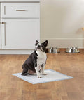 Hygienematte für Hunde im häuslichen Gebrauch - Boston Terrier auf einer Trainingsunterlage 50 x 40 cm in einer modernen Küche