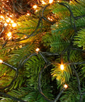 Bild-4-wintem-Lichterkette-100-LED-Leuchten-IP44-EAN-8050043125552