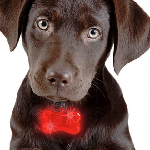 bild-5-im-fernsehen-gesehen-led-marke-für-hundehalsband-ean-4029811310548