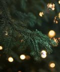 Bild-5-wintem-Lichterkette-100-LED-Leuchten-IP44-EAN-8050043125552