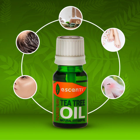 Ätherisches Teebaumöl 10 ml, antibakteriell, antimykotisch, entzündungshemmend, reinigend und talgregulierend Ean-502053500954